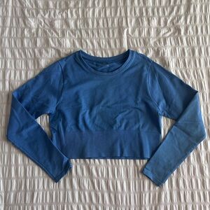 Aerie Offline Blue Cropped Long Sleeve Athletic Top (L)